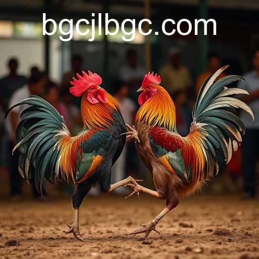 Sabong Games: History, Impact, and Significance